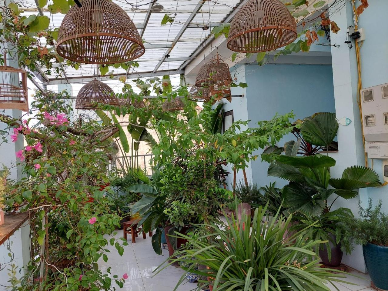 Alleyhomestay 2 Ανόι Εξωτερικό φωτογραφία