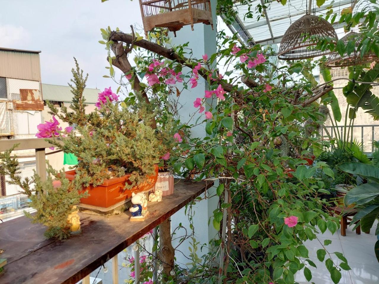 Alleyhomestay 2 Ανόι Εξωτερικό φωτογραφία