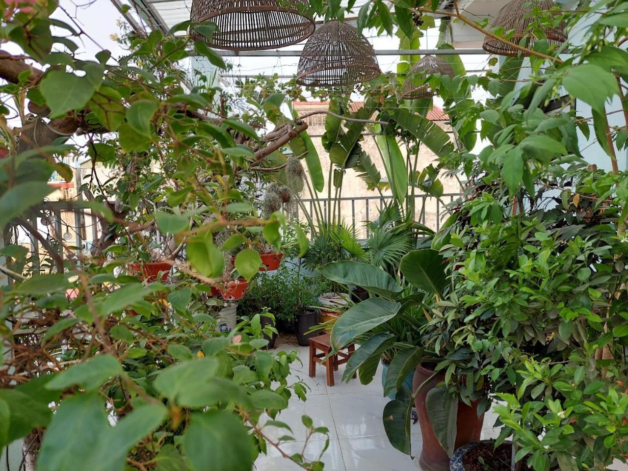 Alleyhomestay 2 Ανόι Εξωτερικό φωτογραφία